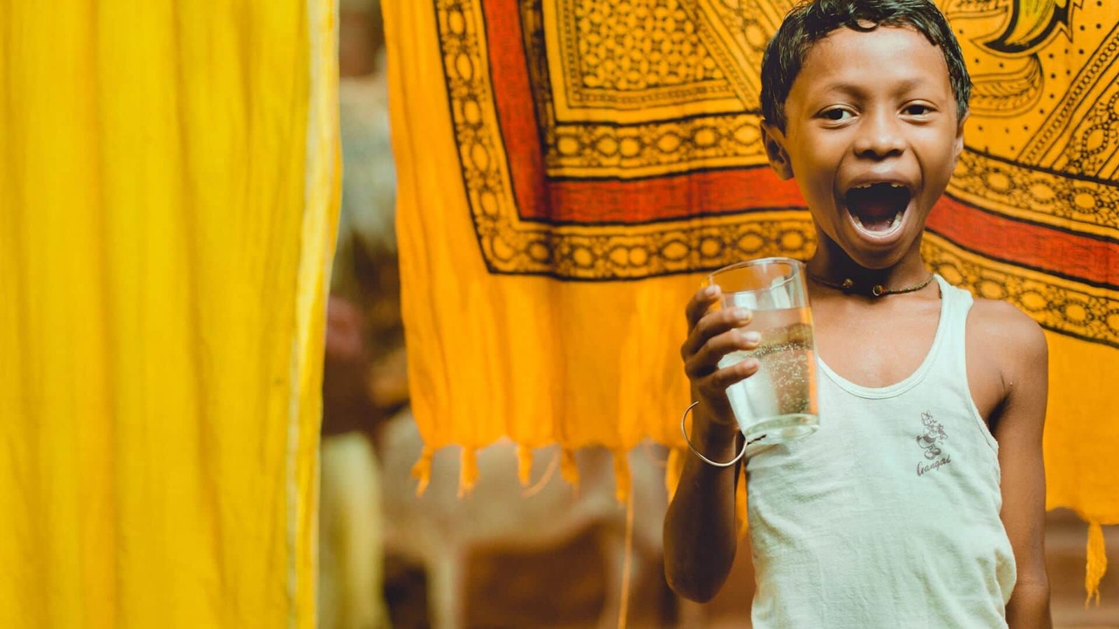 Non Profit WordPress Theme - Donation